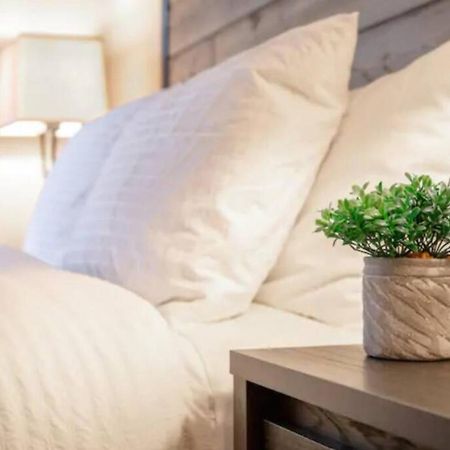 Westshore South Tampa Apt 아파트 외부 사진