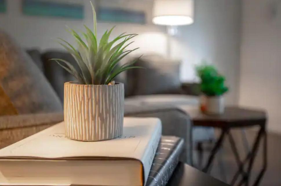 Westshore South Tampa Apt 아파트 외부 사진